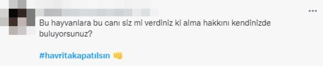 Sokakta yaşayan köpekleri hedef gösteren uygulama sosyal medyayı ayağa kaldırdı Sokakta yaşayan köpekleri hedef gösteren uygulama sosyal medyayı ayağa kaldırdı