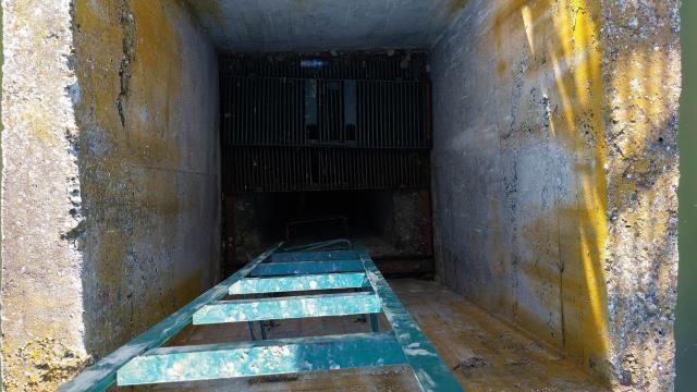 Sulama göletinin vana kuyusuna giren 3 kardeş, metan gazından zehirlenerek öldü