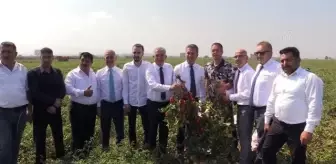 Bursa politika haberi: TDP Genel Başkanı Sarıgül, Karacabey'de domates üreticileriyle bir araya geldi