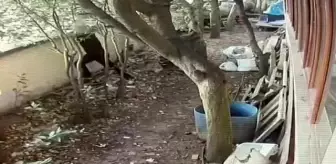 Tuzla'da 70 bin TL değerinde makine kablolarını çalan hırsızlar kamerada