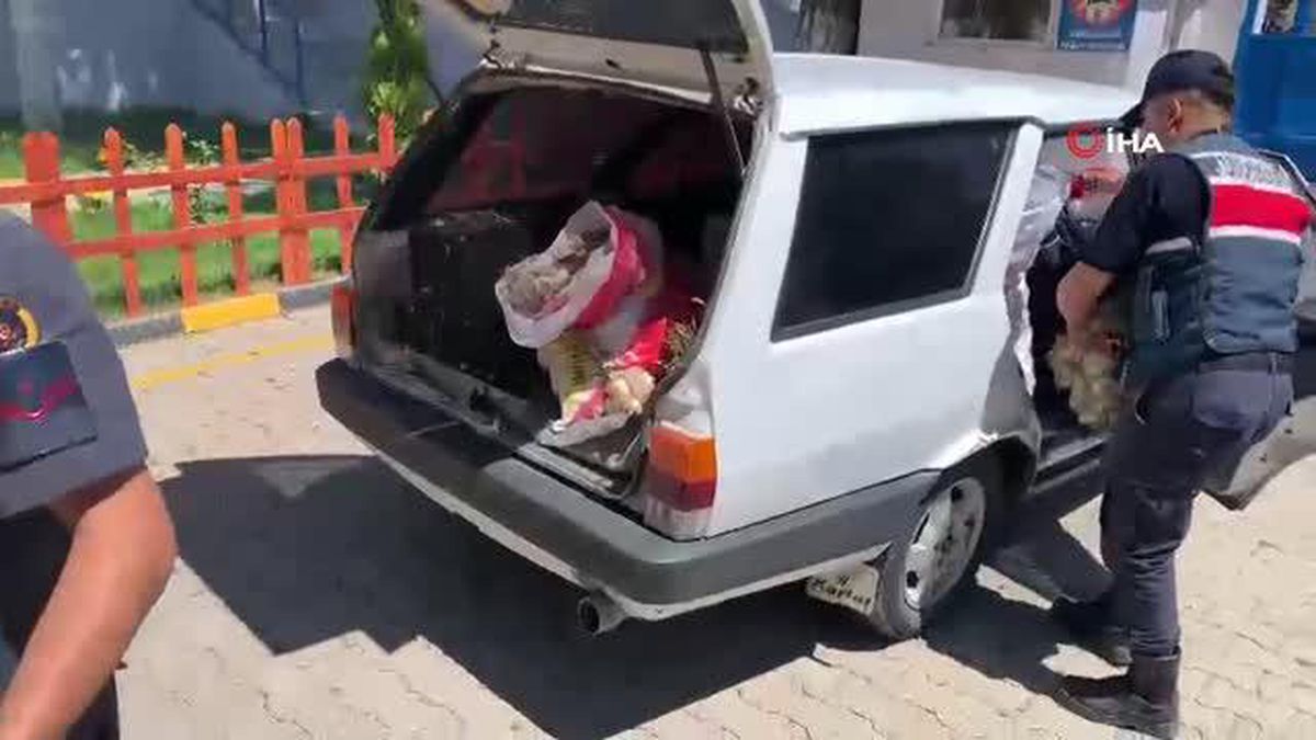 Son dakika haberi... Yol kenarındaki tezgahtan sarımsak çaldı, pazara götürürken jandarmaya yakalandı
