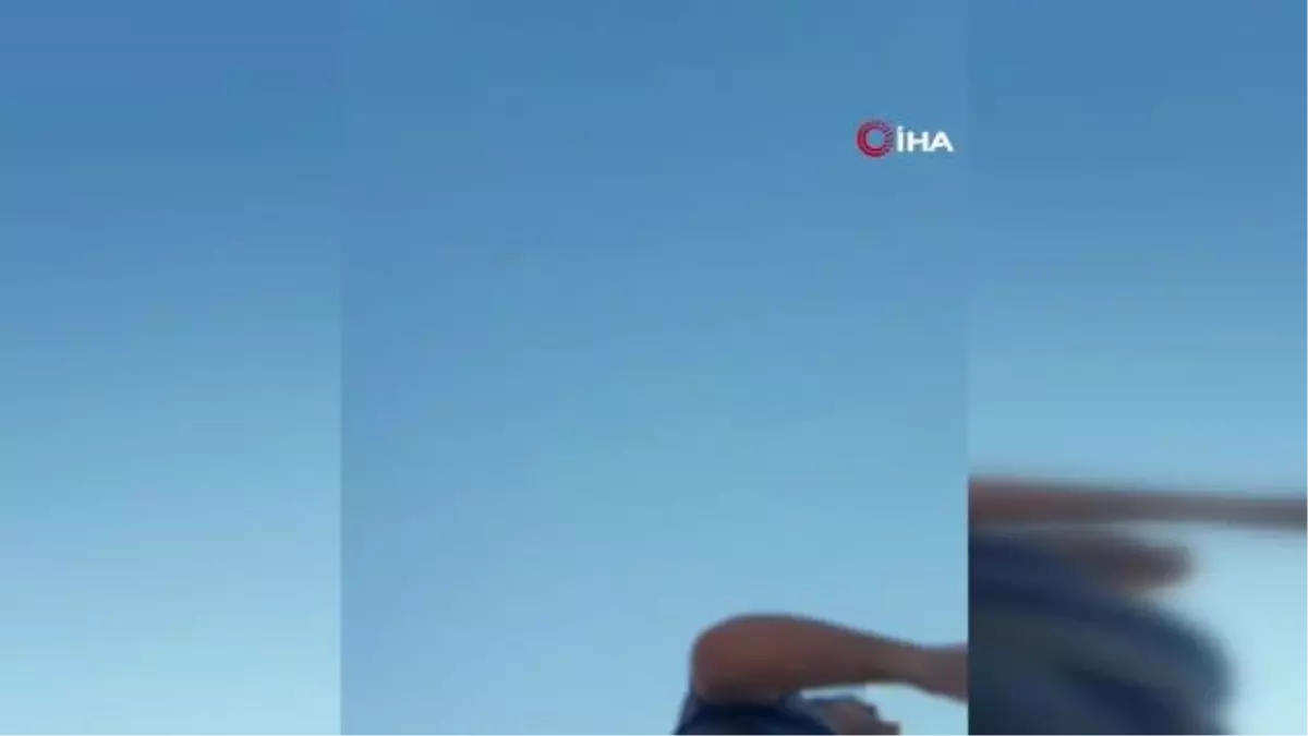 Ölecek sandığı ayı saldırdı, güreşerek hayatta kaldı