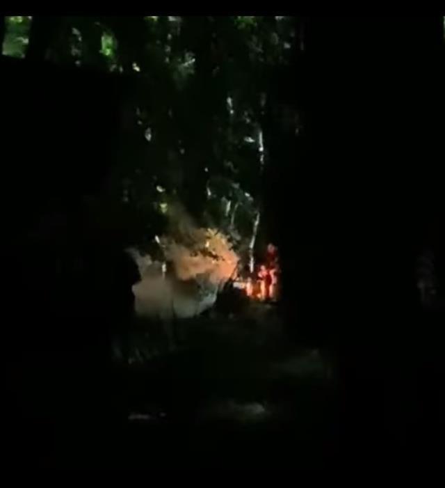 Şahmaran dizisinin ormandaki setinde ateş yakıldı, vatandaşlara jandarmaya şikayet etti