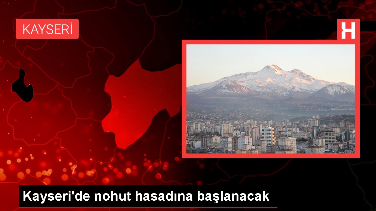 Kayseri gündem: Kayseri'de nohut hasadına başlanacak