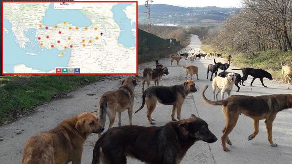 Havrita kapatıldı mı? Havrita ne oldu? Havrita sitesi kapatıldı mı?
