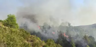 Manisa'da rüzgarın etkisiyle büyüyen yangın, havadan ve karadan müdahaleyle kontrol altına alındı