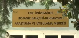 Muğla haberleri! Muğla'da yeni yabani soğan türü keşfedildi