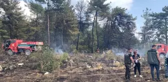 Balıkesir'de yangın mı çıktı? 23 Ağustos Salı Balıkesir Karesi ve Balya'da nerede yangın çıktı, yangında hasar oluştu mu, yangın söndürüldü mü?