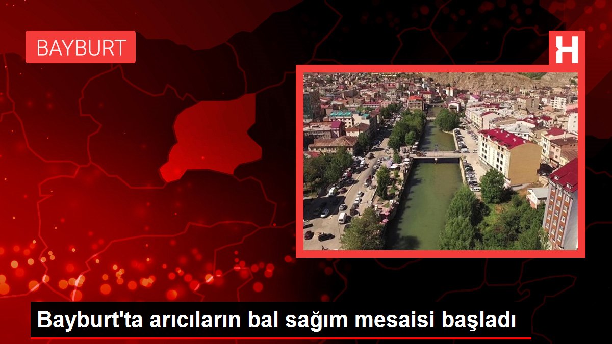 Bayburt haberleri | Bayburt'ta arıcıların bal sağım mesaisi başladı