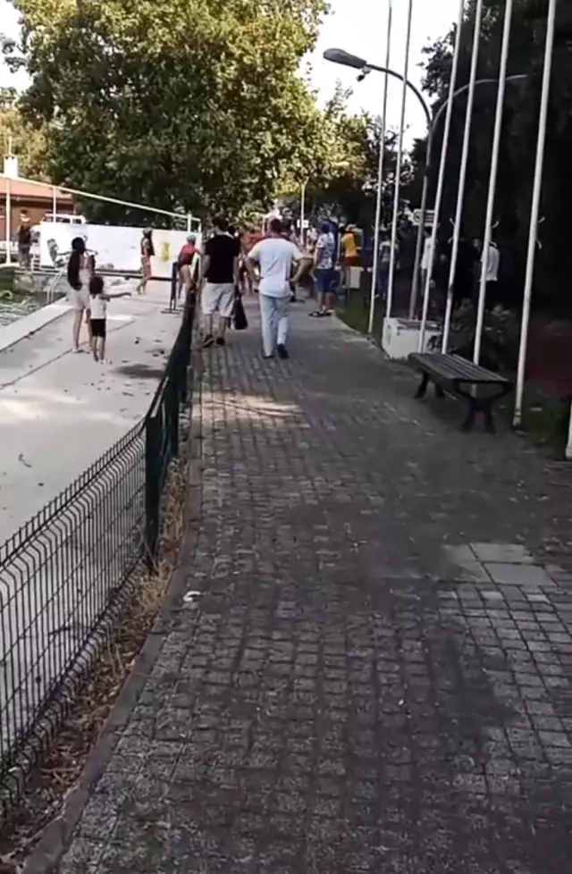 Su kayağı yapan eşinin fotoğrafının çekildiğini görünce deliye döndü