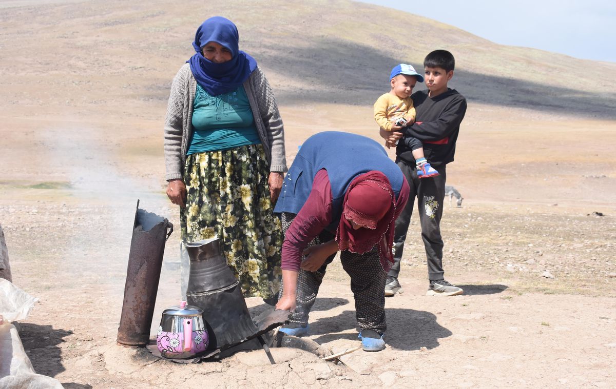 Erzurum haber... Erzurum'un yaylaları, doğu ve güneydoğudan göçer aileleri ağırlıyor
