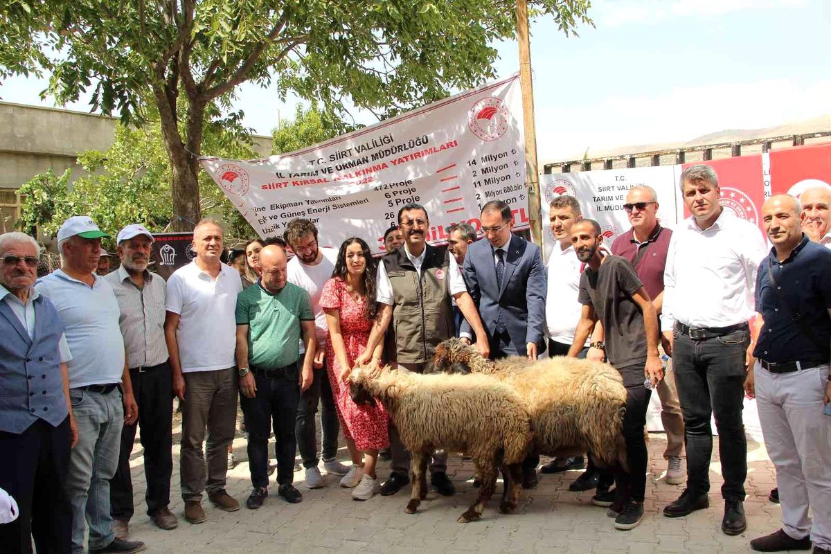 Bingöl gündem haberleri... Devletten hibe desteği alan genç çiftçilere küçükbaş hayvan dağıtıldı