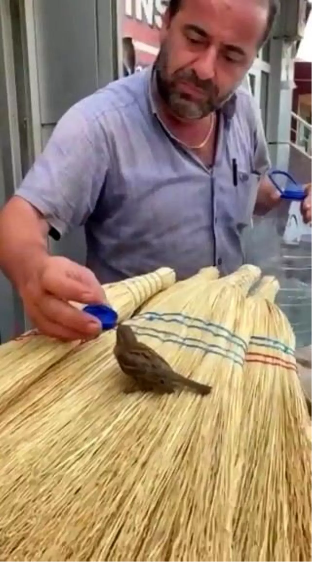 Muhtar susayan kuşa şişe kapağıyla su içirdi