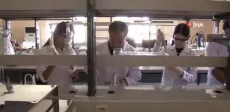 Çevre kirliliğine neden olan deniz marulundan çevre dostu gaz elde edildi