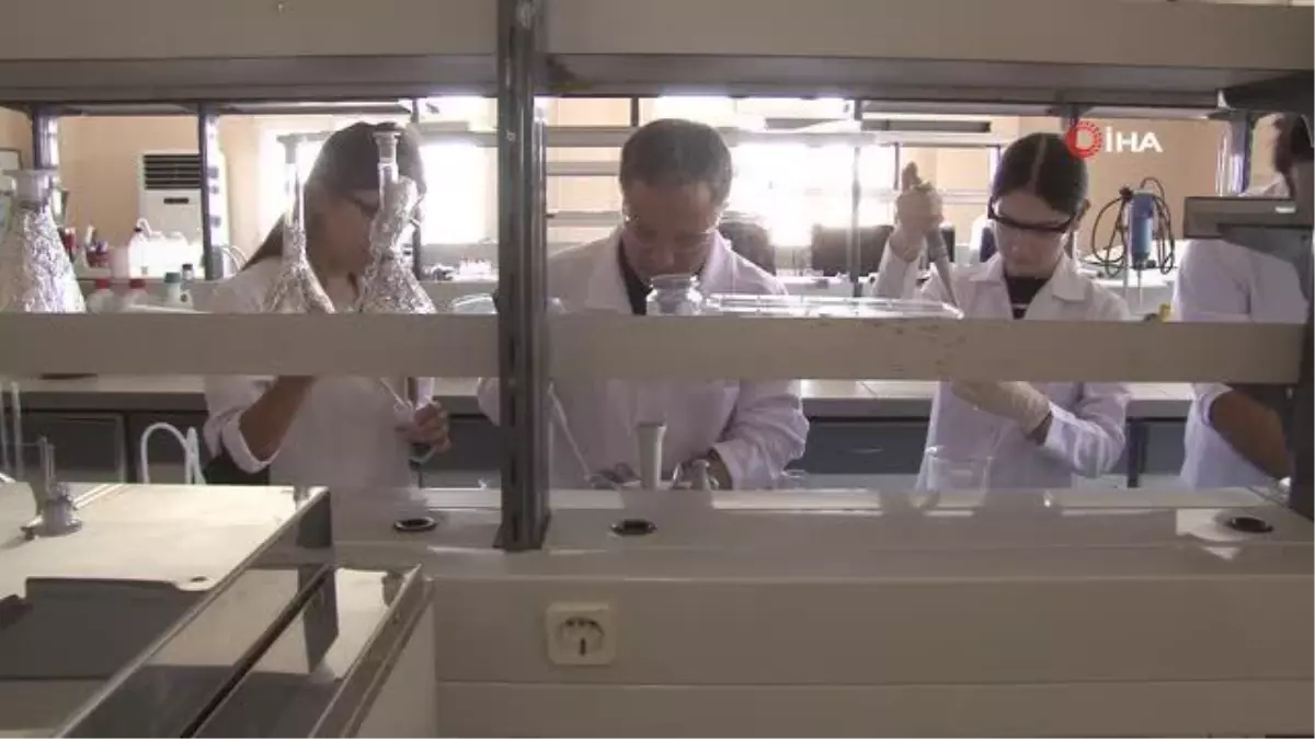 Çevre kirliliğine neden olan deniz marulundan çevre dostu gaz elde edildi