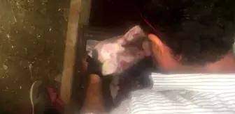 Kömürlükten kilolarca uyuşturucu çıktı