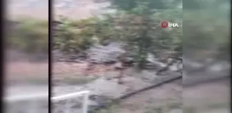 Muğla haber | Milas'ta sağanak yağış