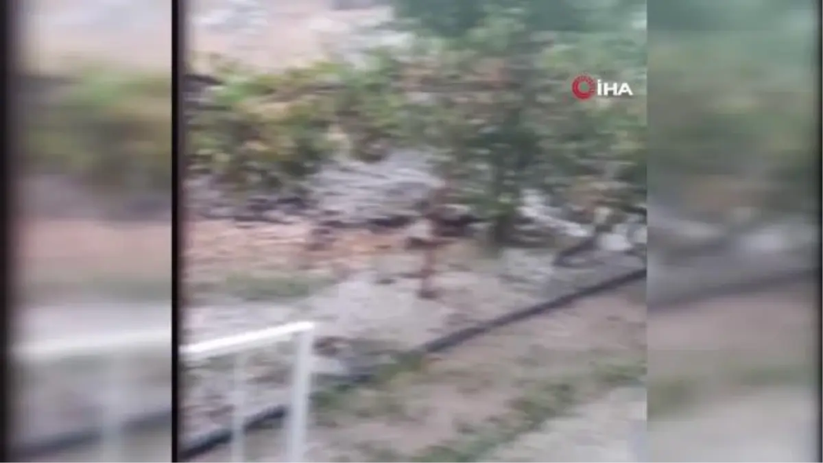 Muğla haber | Milas'ta sağanak yağış