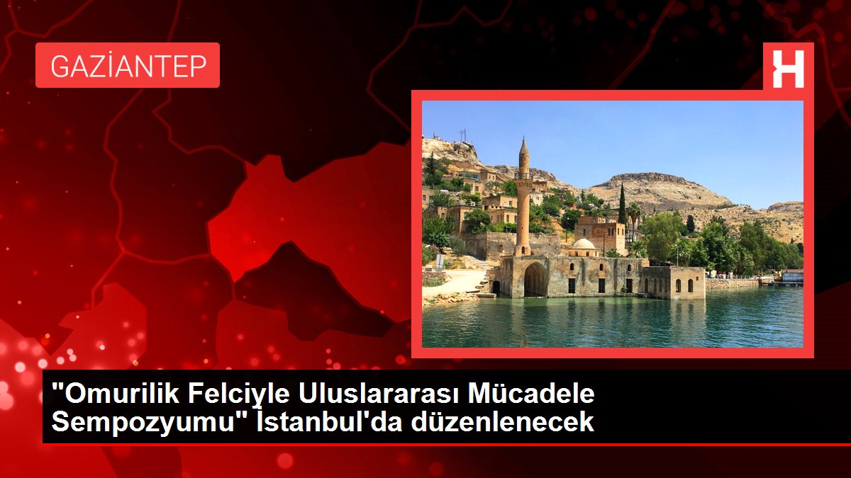 'Omurilik Felciyle Uluslararası Mücadele Sempozyumu' İstanbul'da düzenlenecek