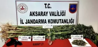 Jandarmadan uyuşturucu operasyonu: 2 gözaltı
