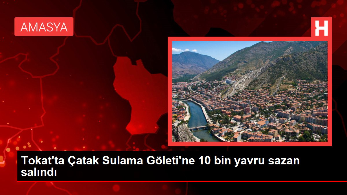 Van haberleri! Tokat'ta Çatak Sulama Göleti'ne 10 bin yavru sazan salındı