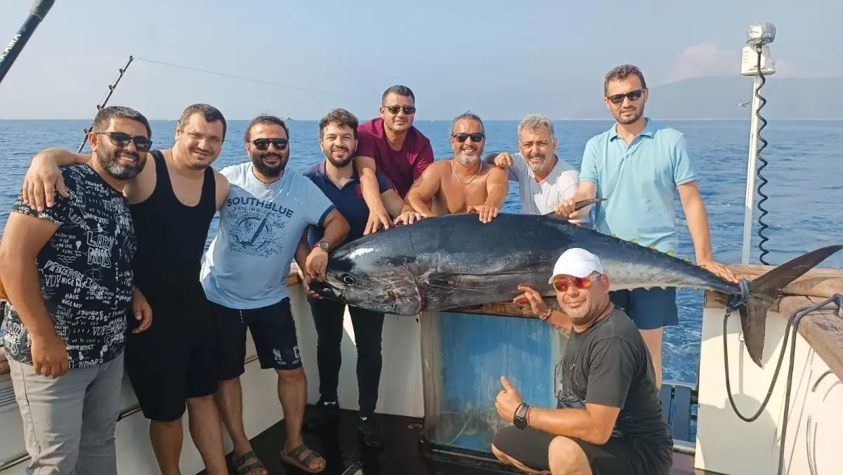 İzmir kültür sanat: İzmir'de 215 santimetre boyunda orkinos yakalandı