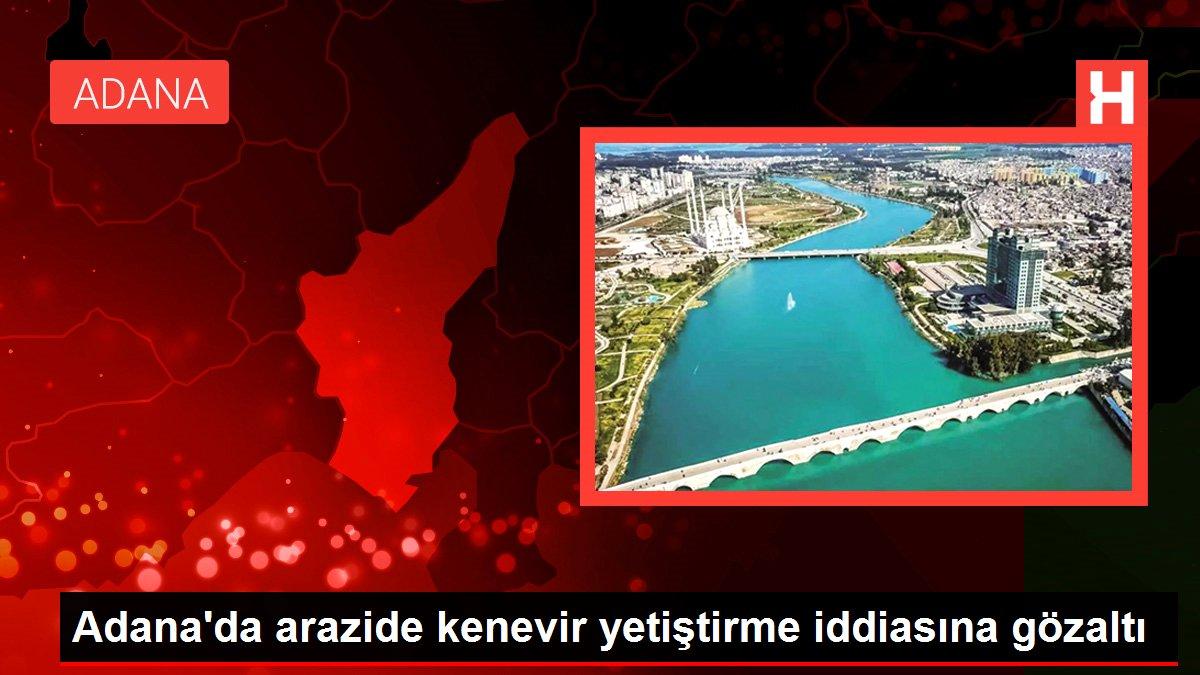 Son dakika haberleri | Adana'da arazide kenevir yetiştirme iddiasına gözaltı