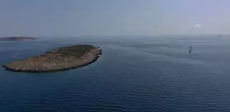 İzmir spor haberleri | Arkas Ege Açıkdeniz Yat Yarışı, Çeşme'de başladı