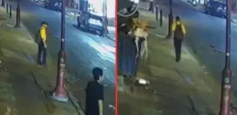 Kaldırımda okul servisi bekleyen öğrenciyi vurarak öldürdüler