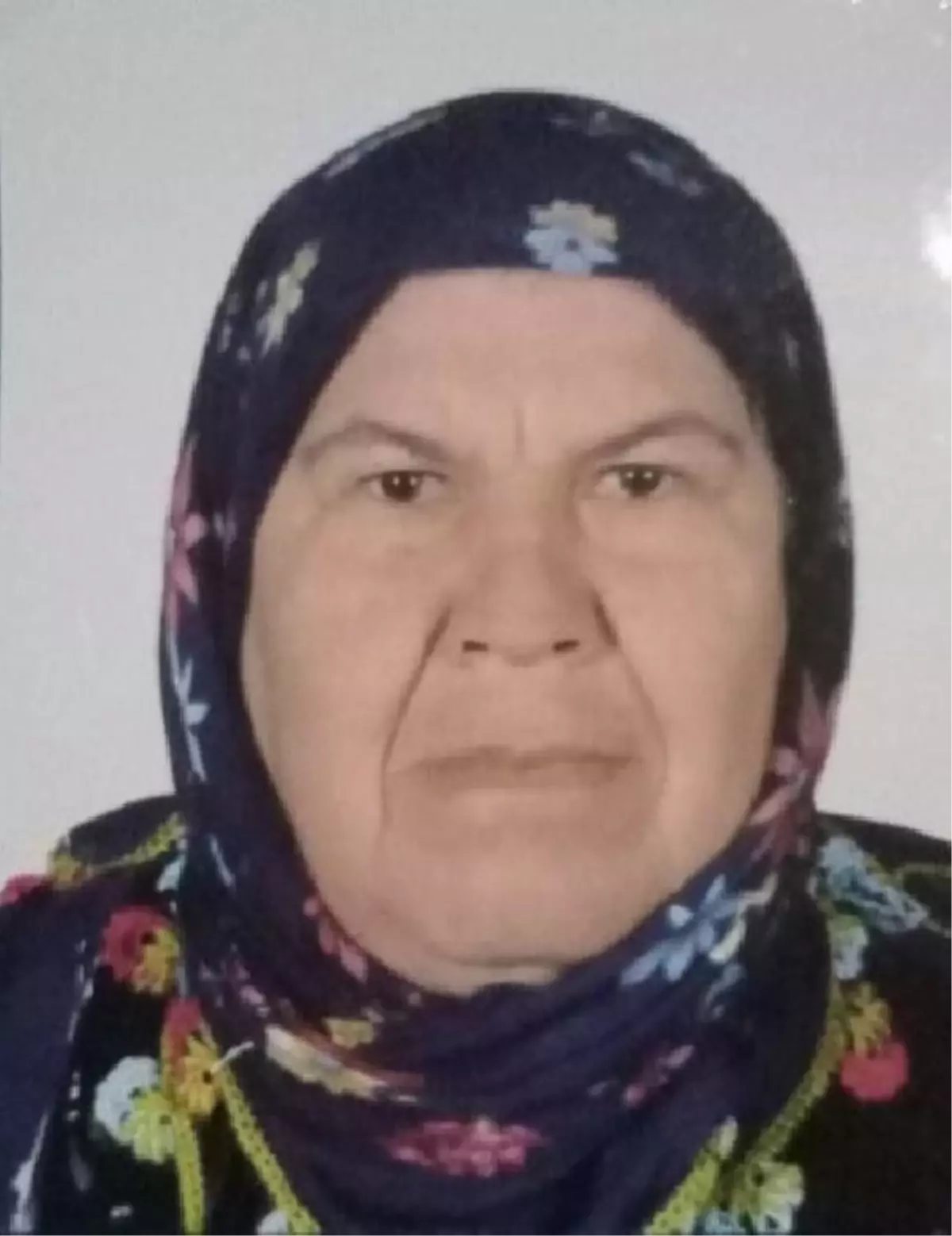 Van gündem haberi: Mersin'de vanayı açmak için bahçeye çıkan kadın, 2 gündür kayıp (2)