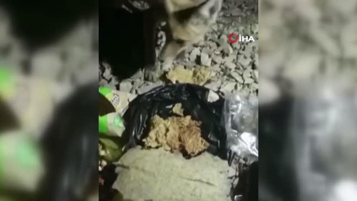 Aç kalan tilkiyi tarhana ile doyurdu