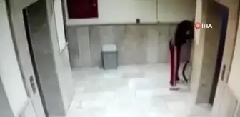 Başkentte bisiklet hırsızlığı kamerada