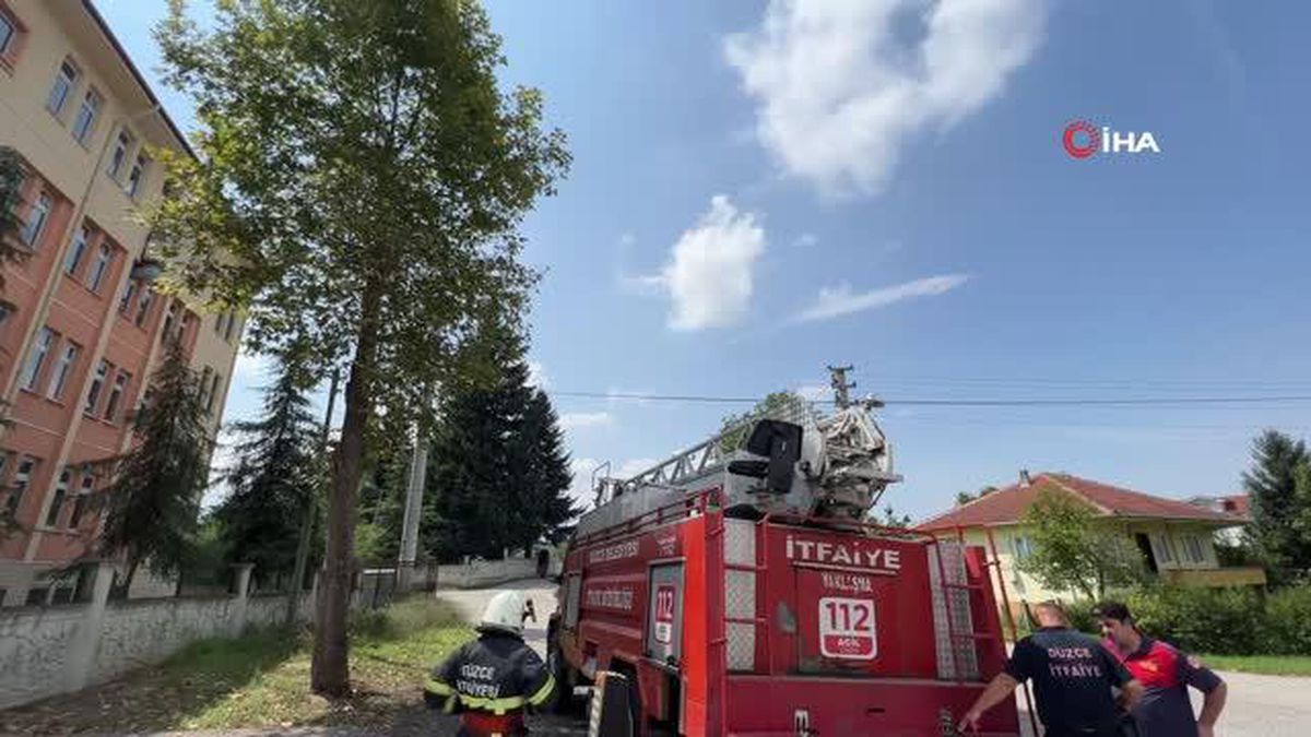 Çıktığı ağaçtan kurtarılmak istenirken beton zemine atlayan kedi veterinere götürüldü