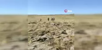 Son dakika haberi: Çoban arazide ölü bulunmuştu...Otomatik tüfeklerle rastgele ateş açtılar, 20 koyun telef oldu