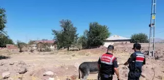 Eşekleri traktörün arkasına bağlayıp sürüklemişti... O sürücüye ceza kesildi