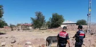 Traktörünün arkasına bağladığı 2 eşeği sürükleyerek götürdü (2)