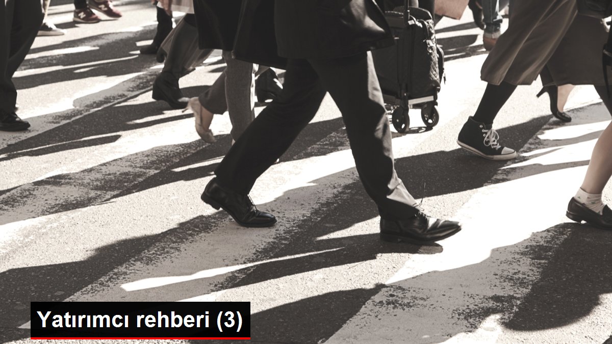 Yatırımcı rehberi (3)