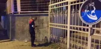 Atık su borusuna sıkışan yavru kediyi itfaiye kurtardı