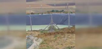 Kastamonu gündem: KASTAMONU - Yangın söndürme havuzuna düşen ayının kurtulma çabası görüntülendi