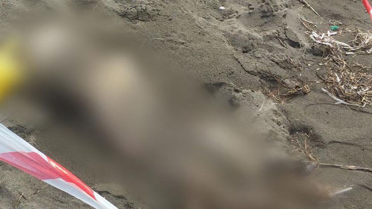 Kumsalda kıyıya vurmuş halde bulunan insan iskeleti panik yarattı