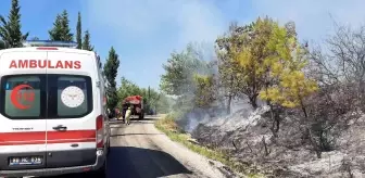 Son dakika haberi: Osmaniye'de orman yangını kontrol altına alındı