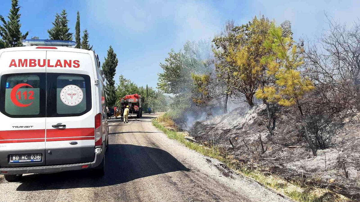 Son dakika haberi: Osmaniye'de orman yangını kontrol altına alındı