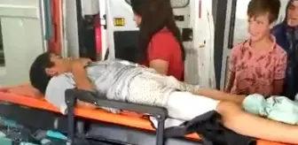 Son dakika haberi: Domuz saldırısına uğrayan çocuk yaralandı