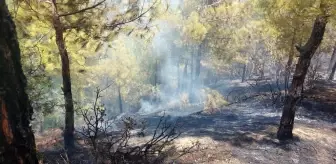 Hatay 3. sayfa haberi: Hatay'da çıkan orman yangını kontrol altına alındı