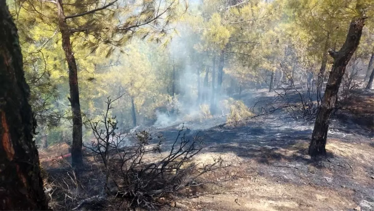 Hatay 3. sayfa haberi: Hatay'da çıkan orman yangını kontrol altına alındı