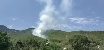 Orman yangını kontrol altına alındı