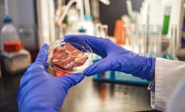 Salmonella bakterisi nedir, nasıl bulaşır? Salmonella neden olur? Salmonella bakterisi nedir, nasıl bulaşır? Salmonella neden olur?