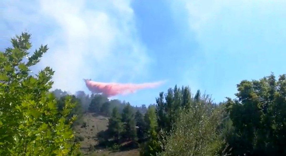 Son dakika haber... Antalya'da çıkan orman yangını kontrol altına alındı