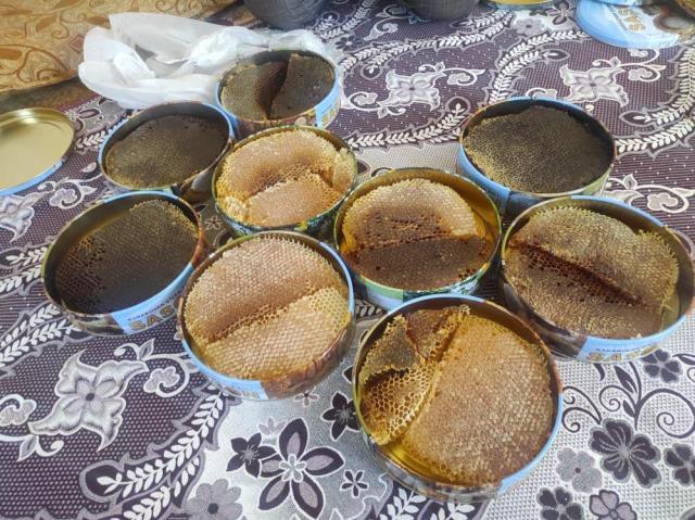 Paraya para demiyor! Ağaç kovuğundan çıkardığını balın kilosunu bin 500 liradan satıyor