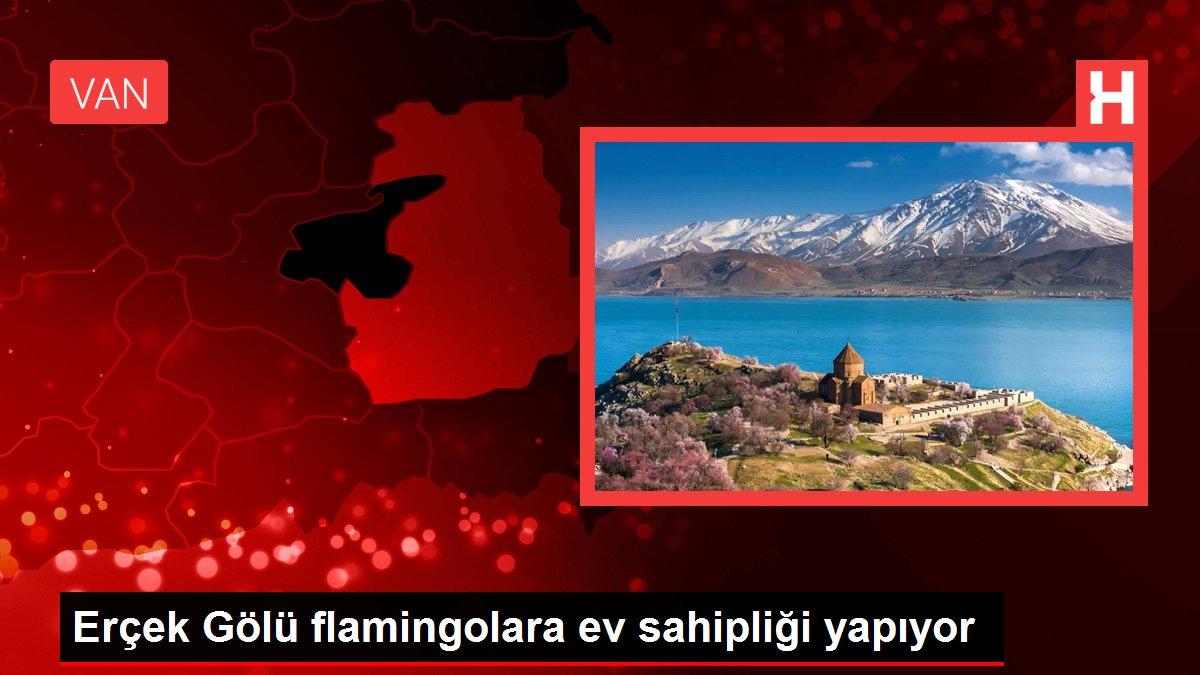 Erçek Gölü flamingolara ev sahipliği yapıyor